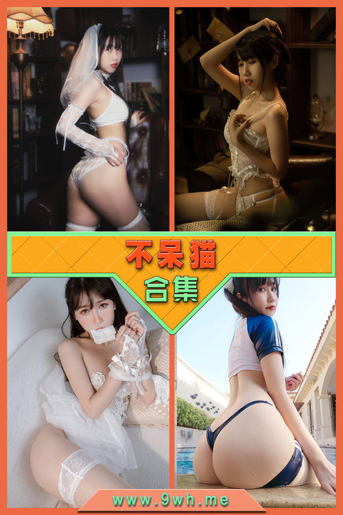 永久专享【不呆猫】合集打包下载 [持续更新…]